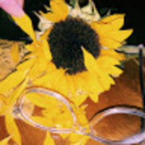 Meet your Posher, Diana